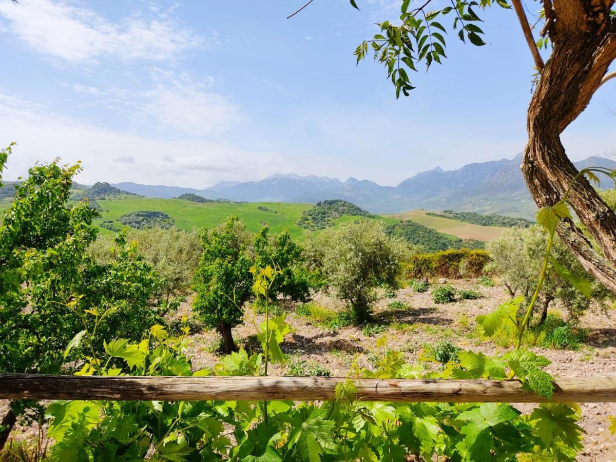 Villa Huerta Nacimiento Montecorto Exteriér fotografie
